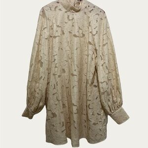 Elegant Cream Lace Dress